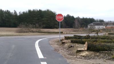Wycinka drzew przy znaku STOP 