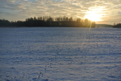 Zimowy pejzaż gminy Lelis