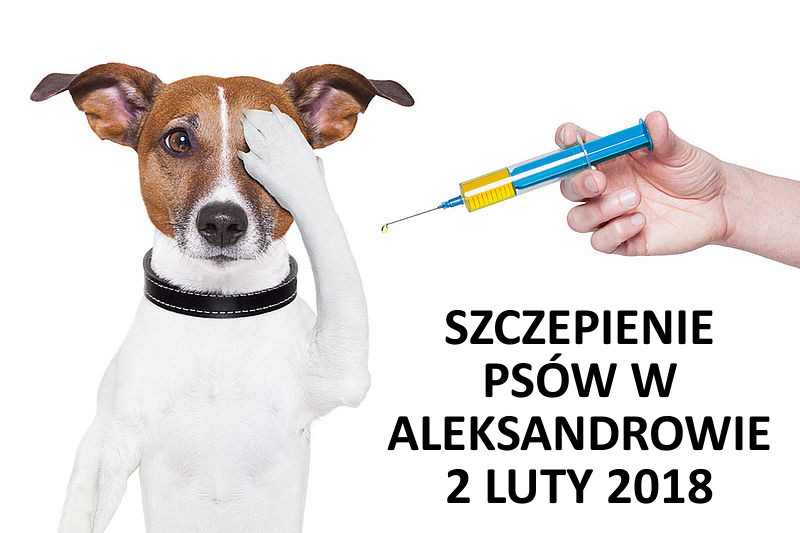 Szczepienie zwierząt przeciwko wściekliźnie 2 luty 2018