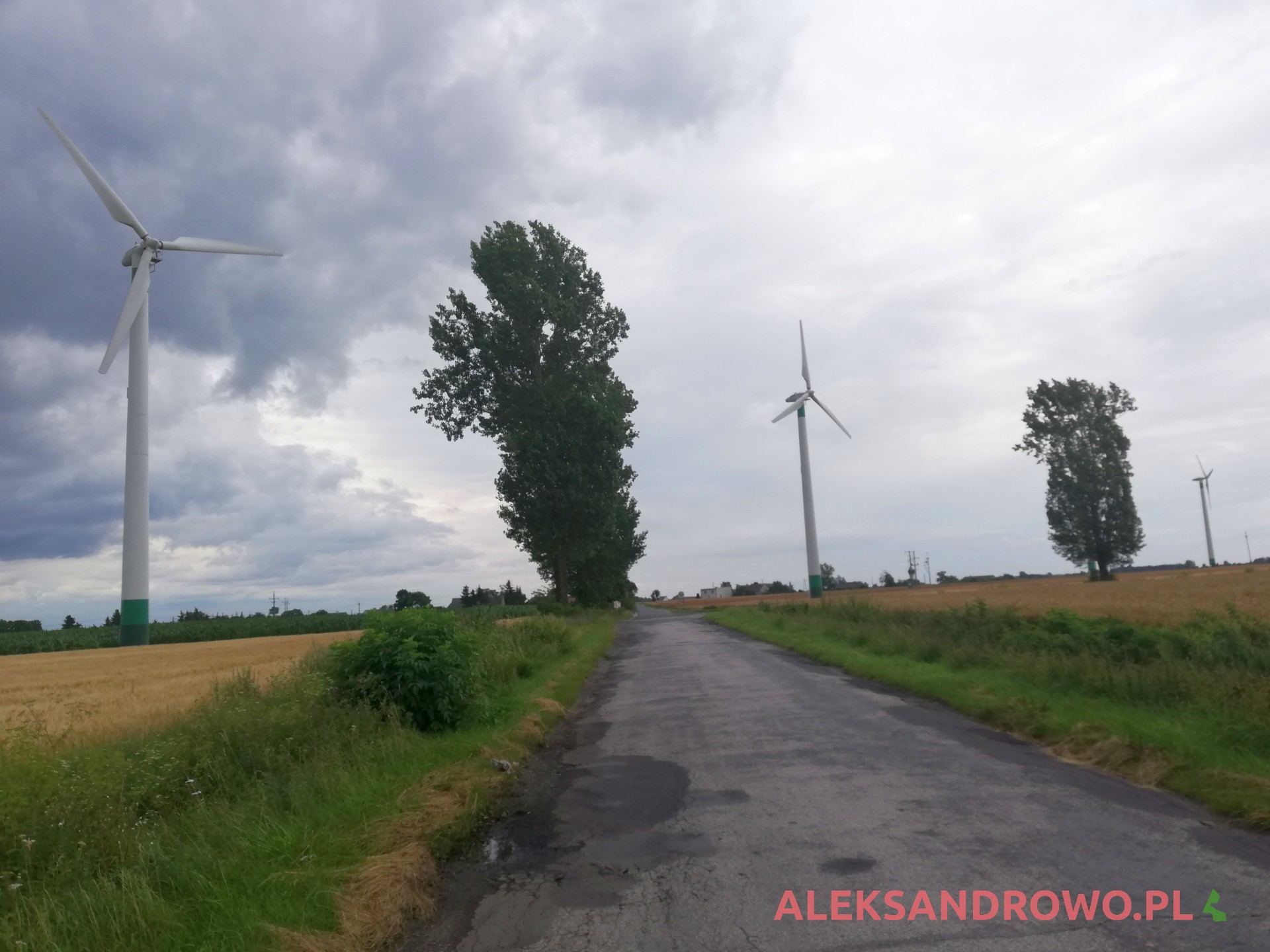 Wiatraki w Aleksandrowie