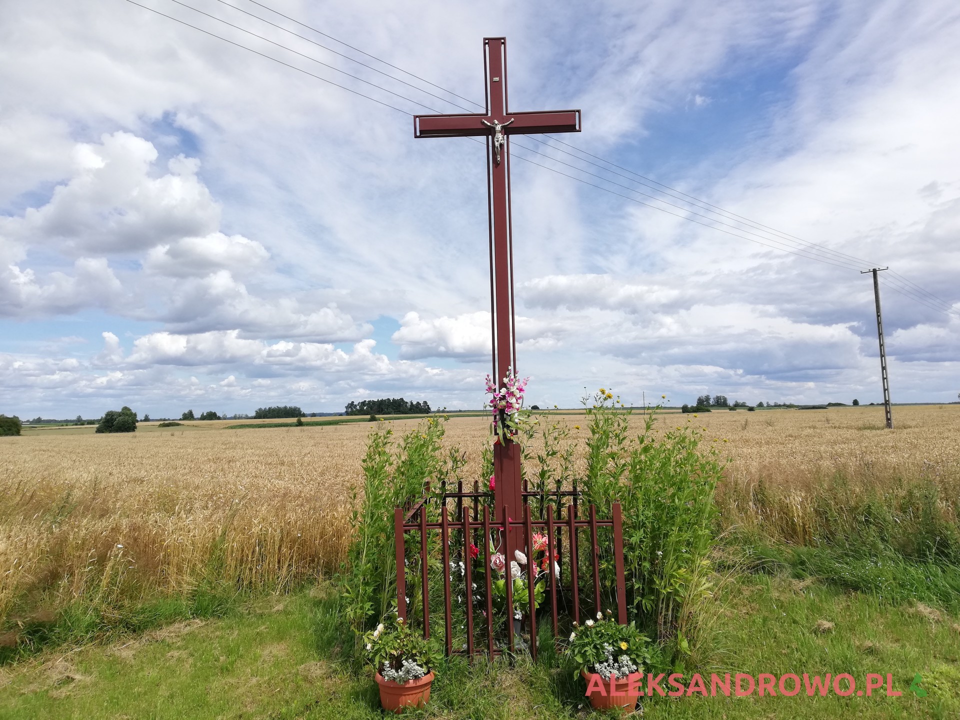 Aleksandrowo - krzyż