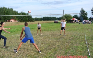 Polówka 2017 w Obierwi